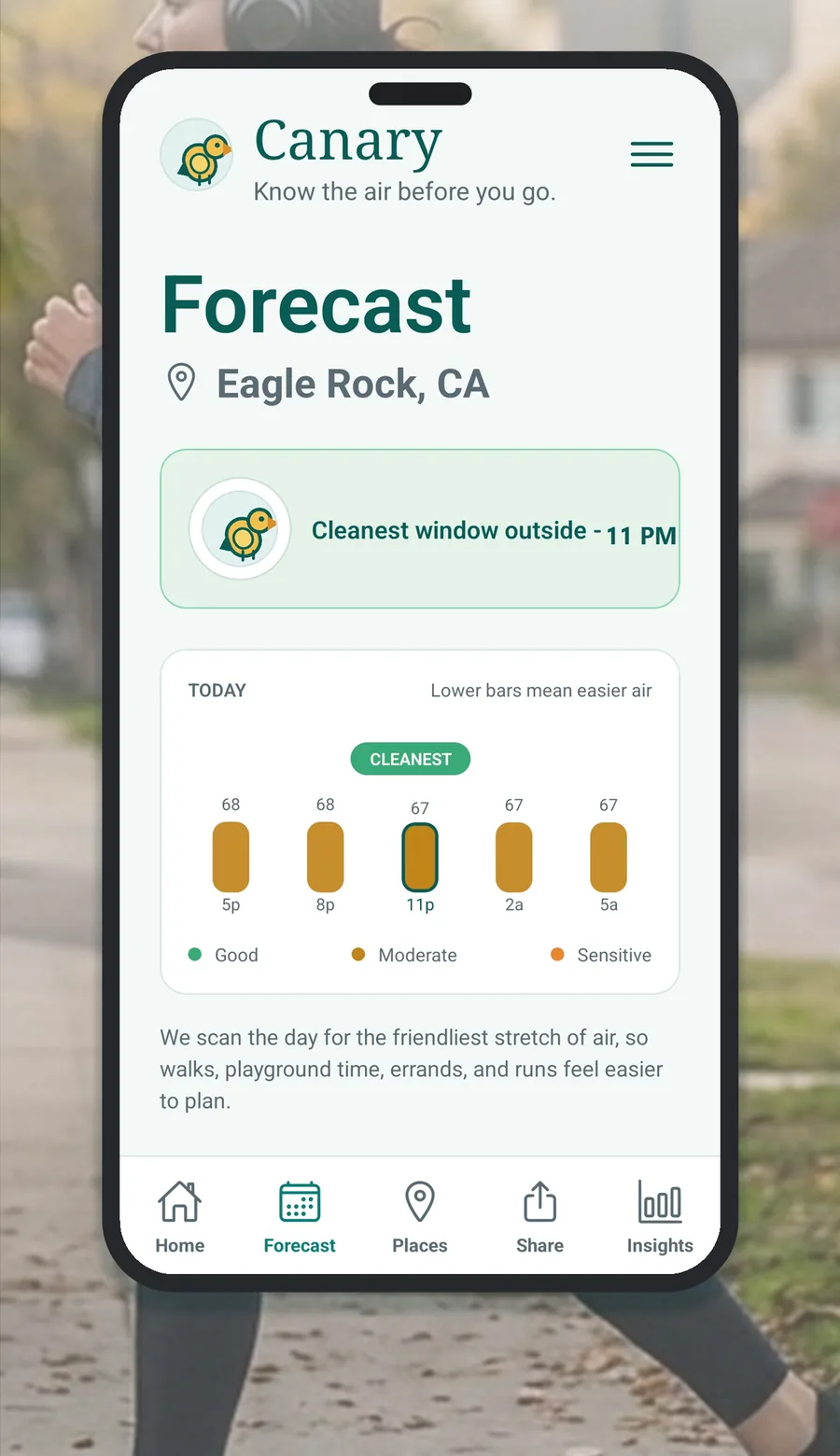 Canary forecast with cleanest window over a morning runner