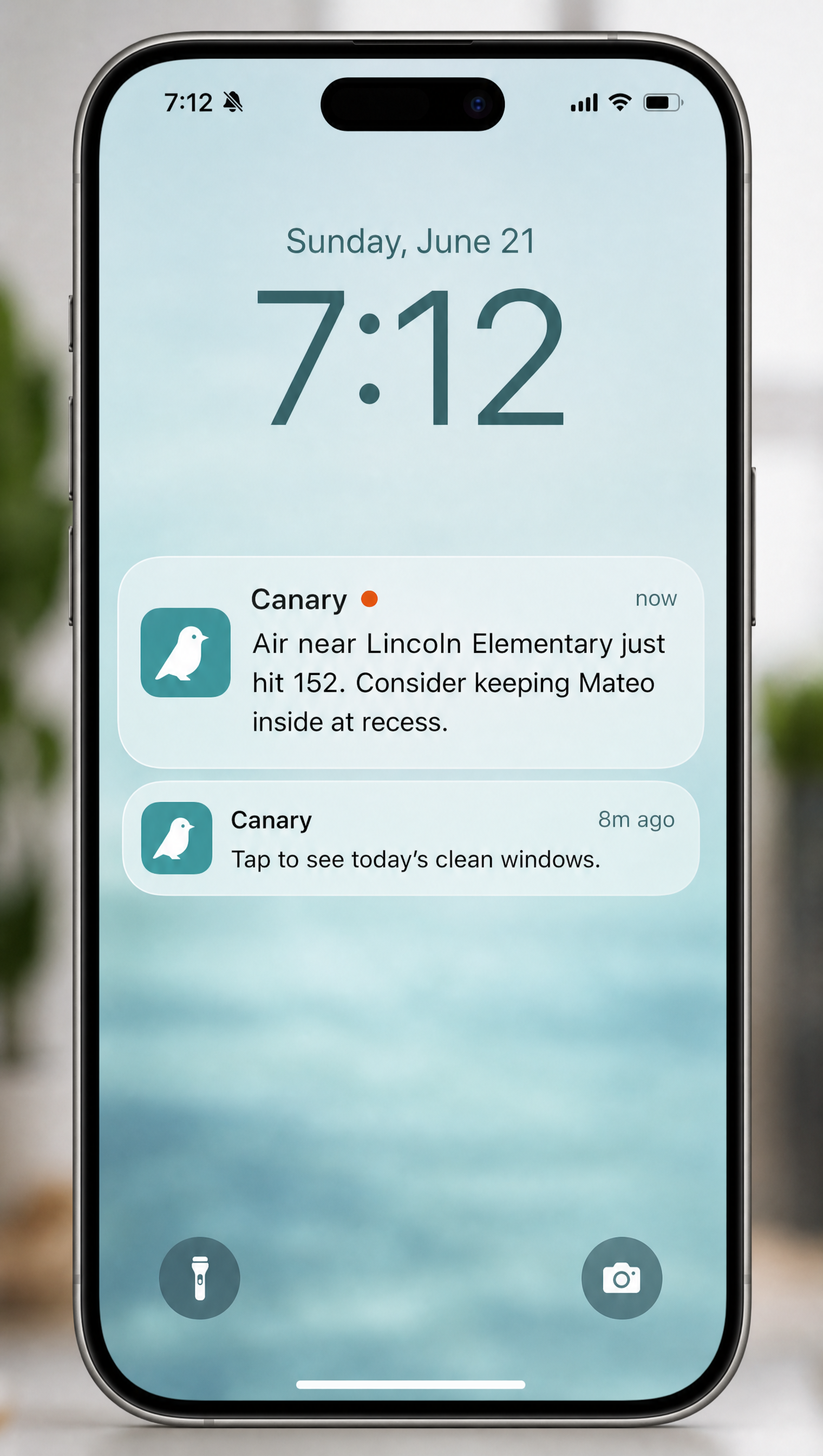 Canary push notification alert